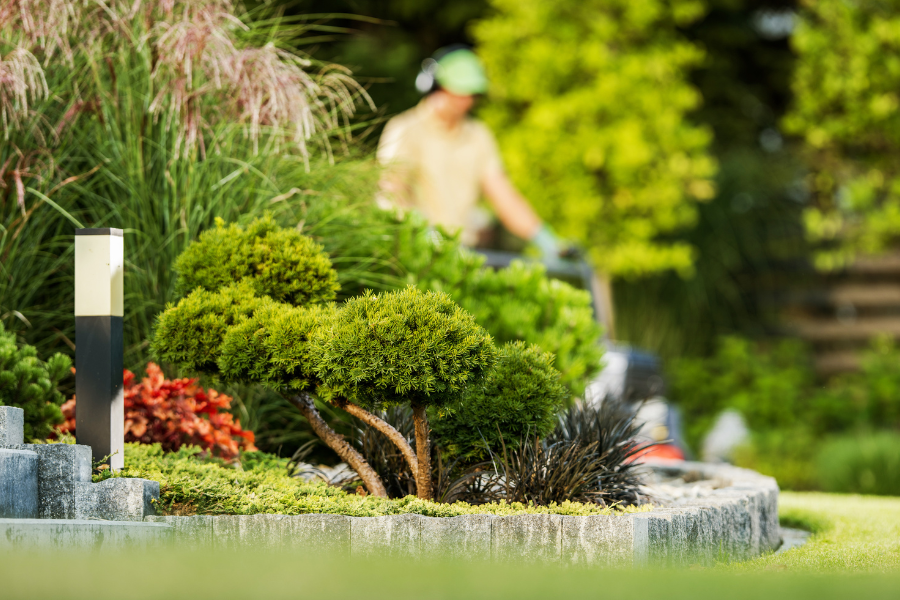 Réalisation de jardins et espaces verts en Vendée.